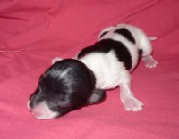 /album/agata/p1040424-jpg/