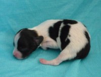 /album/antonin/p1040453-jpg/