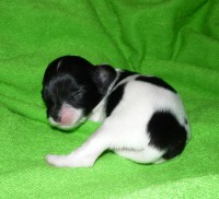 /album/agata/a12-den-jpg/