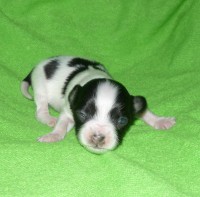 /album/antonin/a12-den-jpg3/