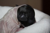 /album/agata/agata-jpg1/