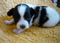 /album/antonin/antonin-jpg/