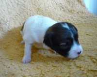 /album/alice/alice4-jpg/