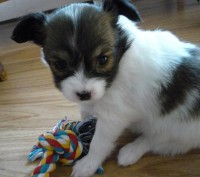 /album/alice/alice6-jpg/