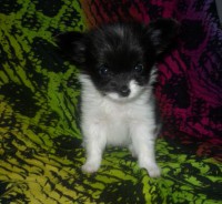 /album/agata/agata7-jpg/